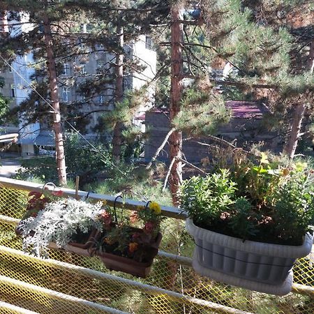 Apartmán Londa Bordžomi Exteriér fotografie