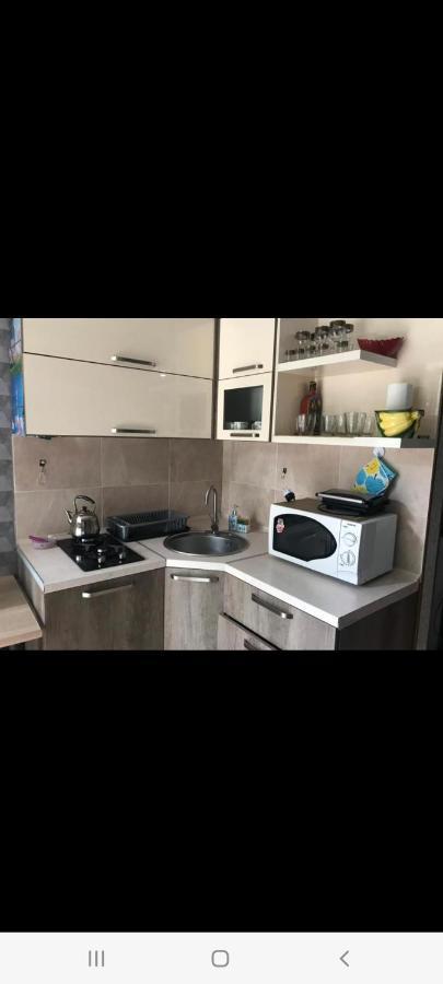 Apartmán Londa Bordžomi Exteriér fotografie