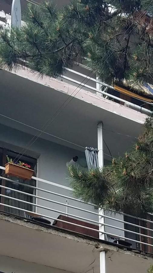 Apartmán Londa Bordžomi Exteriér fotografie